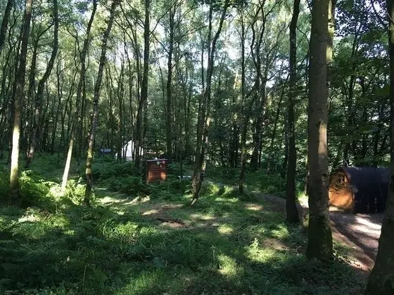 Kır Evi, Özel Banyo