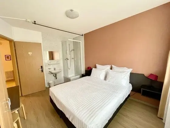 Economy Tek Büyük veya İki Ayrı Yataklı Oda, Ortak Banyo (Moyen Budget)