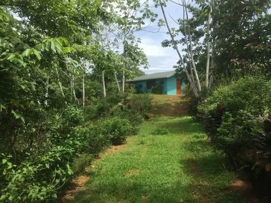 Oda, 1 Yatak Odası, Balkon