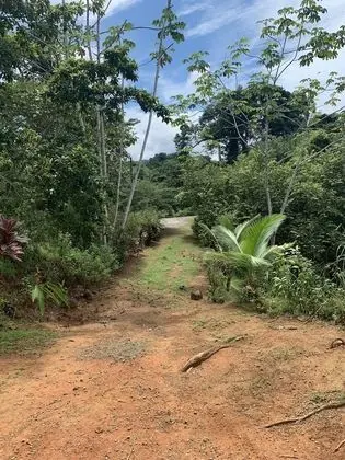 Oda, 1 Yatak Odası, Balkon