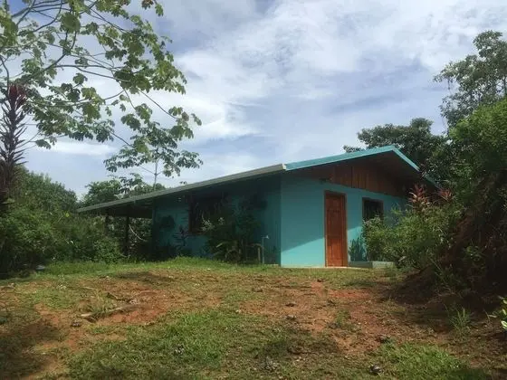 Oda, 1 Yatak Odası, Balkon