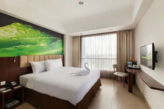 Deluxe Tek Büyük Yataklı Oda