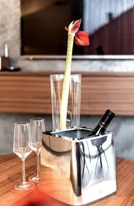 Çatı Katı Süiti (Penthouse)