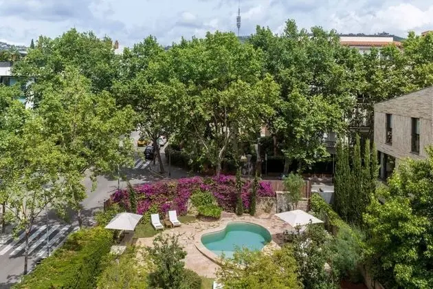 Junior Süit, Teras, Bahçe Manzaralı (Single Use)