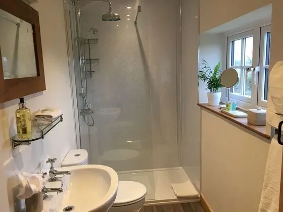 Luxury Tek Büyük veya İki Ayrı Yataklı Oda, Banyolu/Duşlu (Room 1)