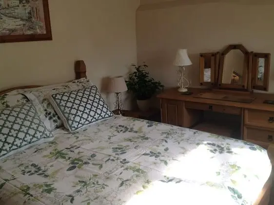 Luxury Tek Büyük Yataklı Oda, Özel Banyo (Room 2)