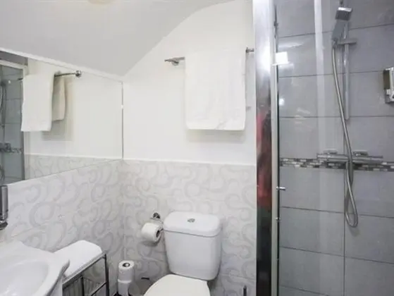 Tek Büyük Yataklı Oda, Banyolu/Duşlu