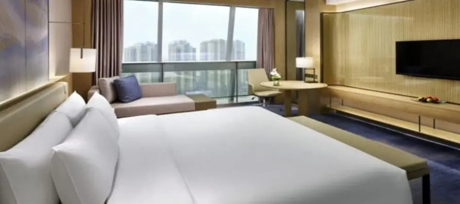 Deluxe Tek Büyük Yataklı Oda