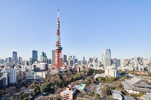 Deluxe İki Ayrı Yataklı Oda, Sigara İçilmez (3-18F, Tokyo Tower View)