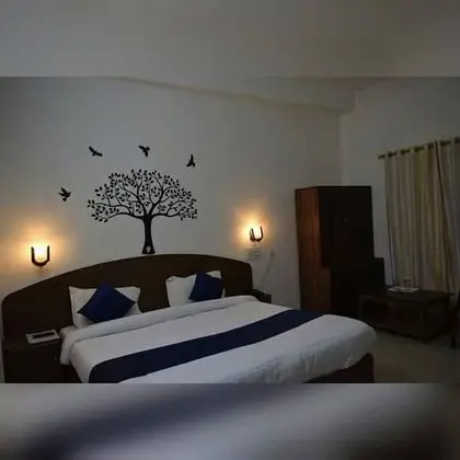 Deluxe Tek Büyük veya İki Ayrı Yataklı Oda, 1 Yatak Odası, Özel Banyo
