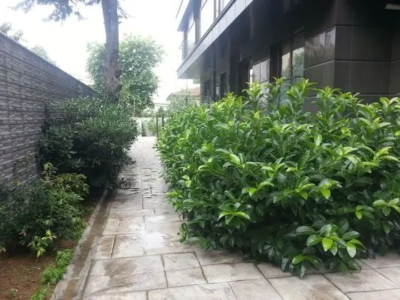 Grand Apartment, 3 Bedrooms, City View