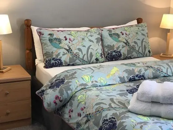 Comfort Tek Büyük Yataklı Oda, Bahçe Manzaralı