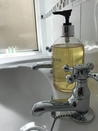 Comfort Tek Büyük Yataklı Oda, Bahçe Manzaralı
