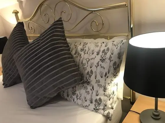 Comfort Tek Büyük Yataklı Oda, Bahçe Manzaralı