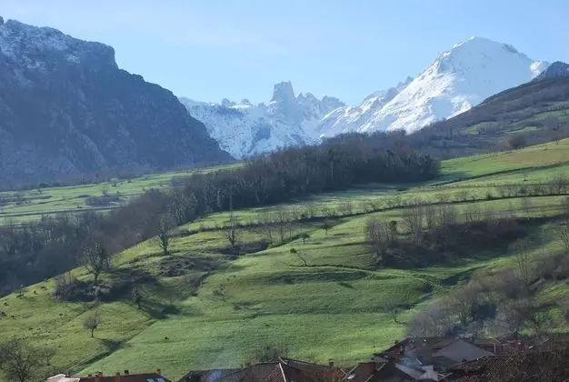Üç Kişilik Oda