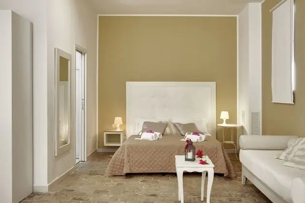 Superior Tek Büyük Yataklı Oda