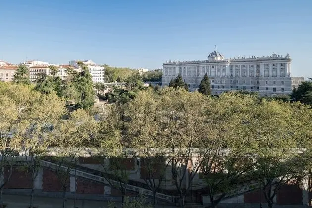 Superior Büyük Yataklı Tek Kişilik Oda, Şehir Manzaralı (Royal Palace View)