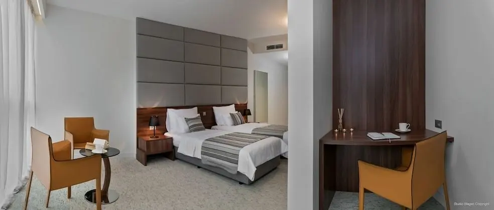 Superior Tek Büyük veya İki Ayrı Yataklı Oda, Şehir Manzaralı (Superior)