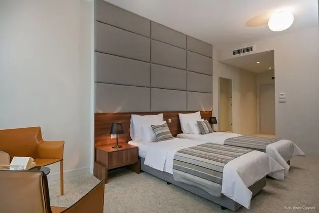 Superior Tek Büyük veya İki Ayrı Yataklı Oda, Şehir Manzaralı (Superior)