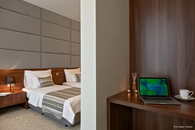 Superior Tek Büyük veya İki Ayrı Yataklı Oda, Şehir Manzaralı (Superior)