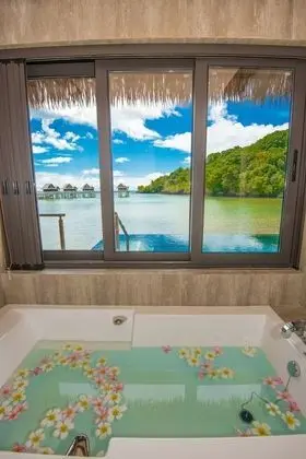 Villa, Havuz Kullanımı, Lagün Manzaralı