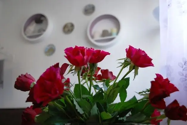 Comfort Üç Kişilik Oda, 1 Yatak Odası, Küçük Mutfak, Avlu