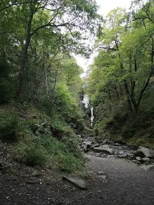 Kır Evi, 1 Büyük (Queen) Boy Yatak