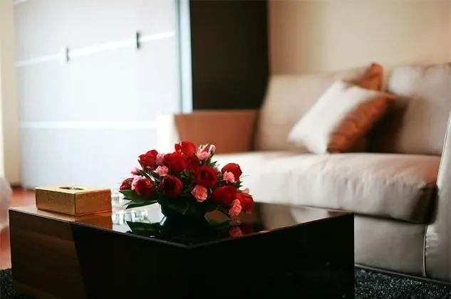 Deluxe Oda, 2 Tek Kişilik Yatak (city view)