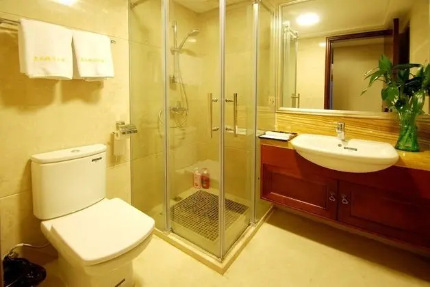 Deluxe Oda, 2 Tek Kişilik Yatak (city view)