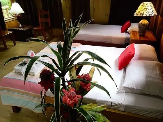 Oda, 1 Yatak Odası, Balkon