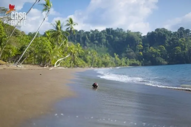 Oda, 1 Yatak Odası, Balkon