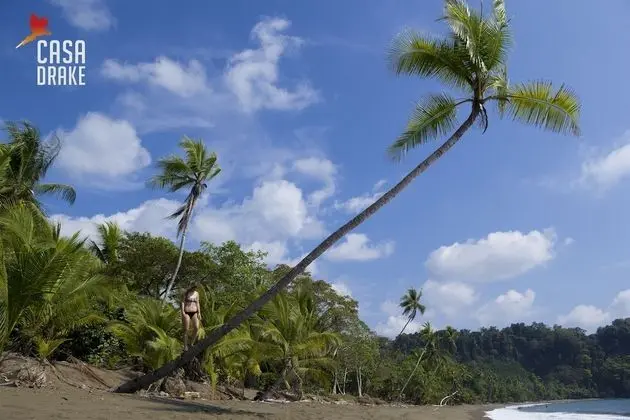 Oda, 1 Yatak Odası, Balkon