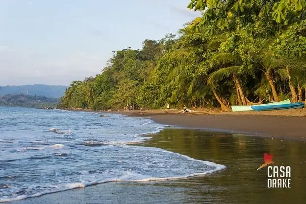 Oda, 1 Yatak Odası, Balkon