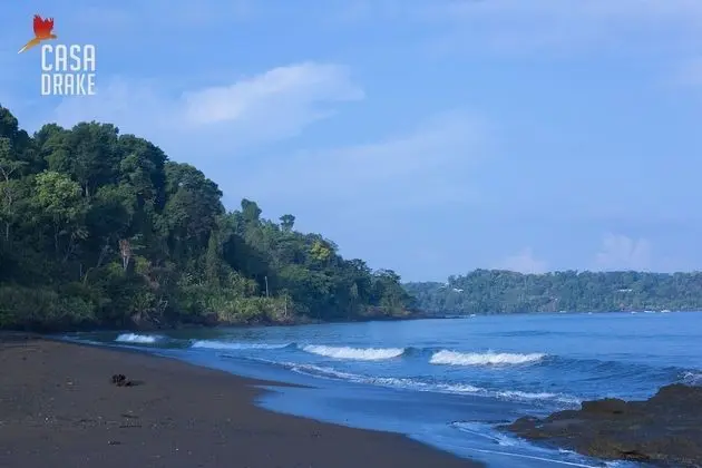 Oda, 1 Yatak Odası, Balkon