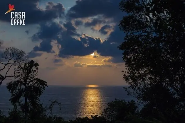 Oda, 1 Yatak Odası, Balkon