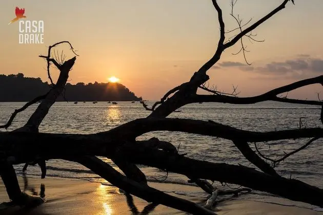 Oda, 1 Yatak Odası, Balkon