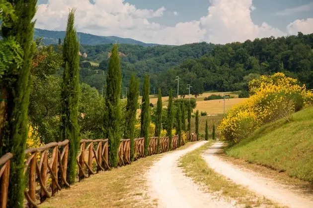 Ev, 4 Yatak Odası, Şömine