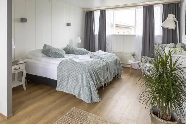 Apart Daire (Traustastofa)