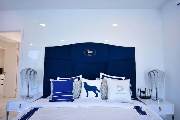 Luxury Villa