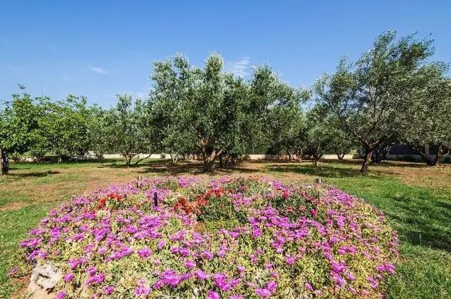 Villa, Sigara İçilebilir