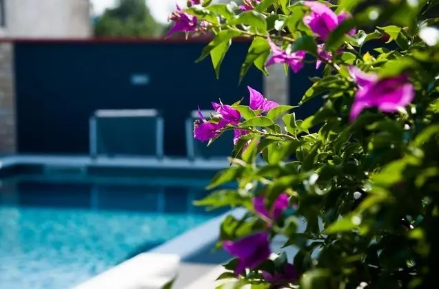 Villa, Sigara İçilebilir