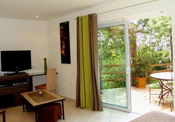Comfort Tek Büyük Yataklı Oda, 1 Çift Kişilik Yatak, Jakuzi, Bahçe Manzaralı