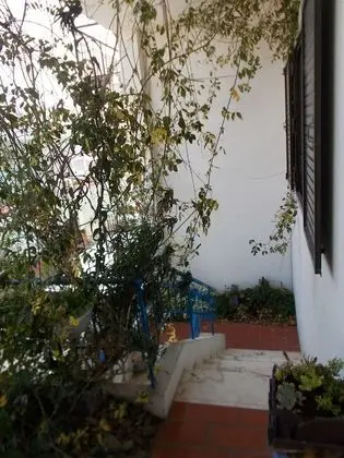 Oda, 1 Yatak Odası, Balkon