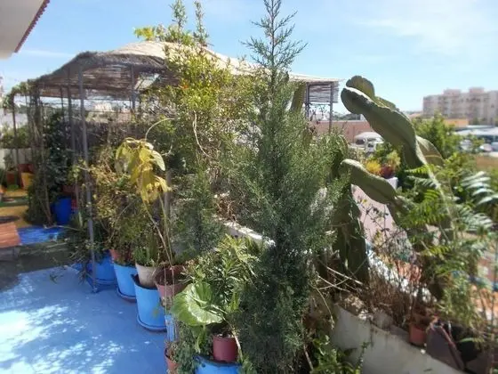 Oda, 1 Yatak Odası, Balkon