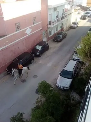 Oda, 1 Yatak Odası, Balkon