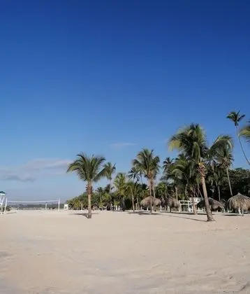 Oda, 1 Yatak Odası, Veranda