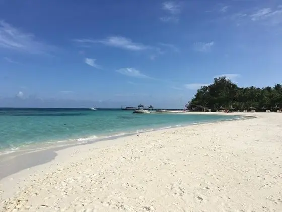 Oda, 1 Yatak Odası, Veranda