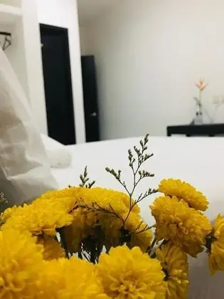 Oda, 1 Yatak Odası, Balkon