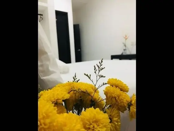 Oda, 1 Yatak Odası, Balkon