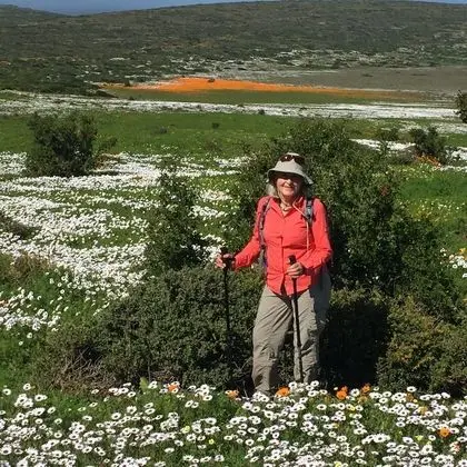 Oda, 1 Yatak Odası, Mikrodalga